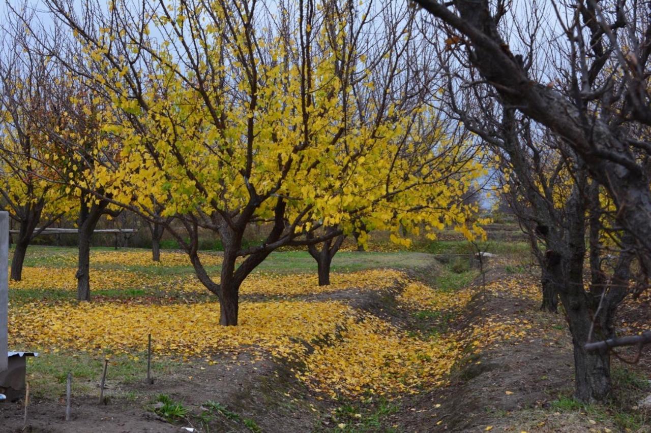 Finca La Celestita Colonia Alvear Buitenkant foto