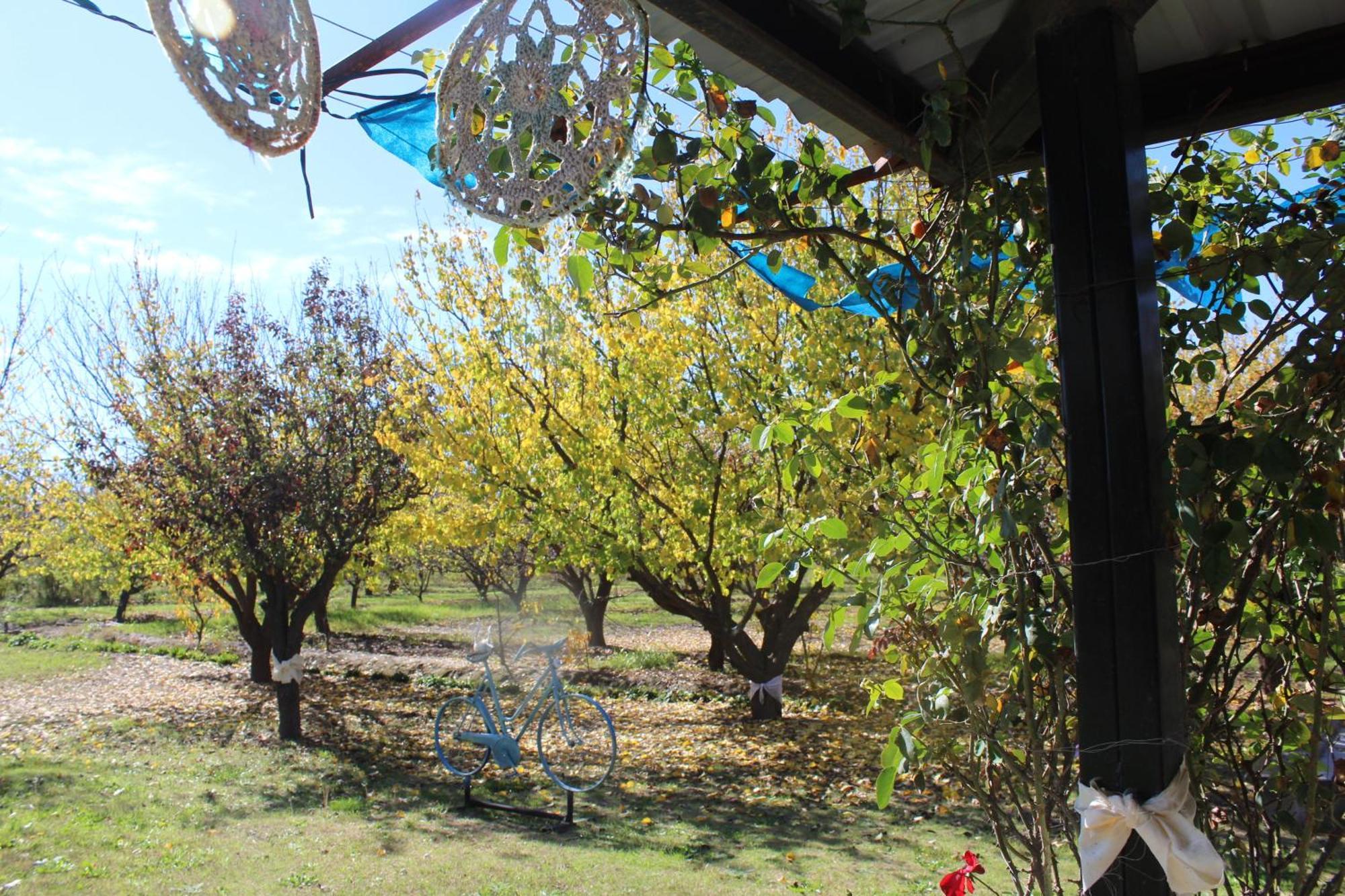 Finca La Celestita Colonia Alvear Buitenkant foto